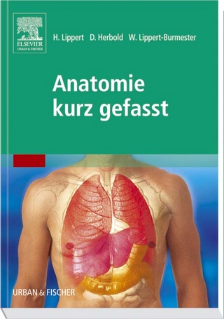 Anatomie kurz gefasst - Herbert Lippert; D. Herbold; W. Lippert-Burmester