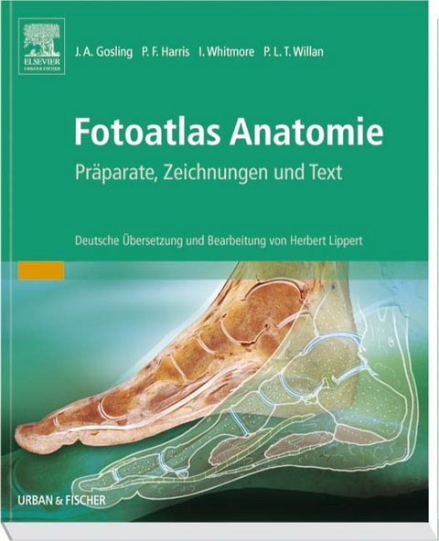 Fotoatlas der Anatomie - 