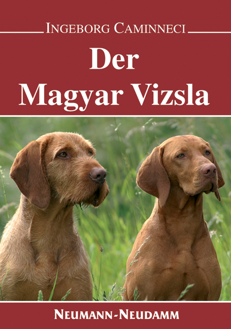 Der Magyar-Vizsla - Ingeborg Caminneci