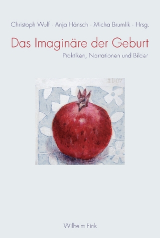Das Imaginäre der Geburt - Anja Hänsch; Micha Brumlik; Christoph Wulf