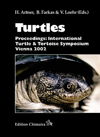 Turtles - Harald Artner; Balázs Farkas; Victor Loehr