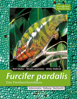Furcifer pardalis - Das Pantherchamäleon - Rolf Müller; Nicolá Lutzmann; Ulrike Walbröl