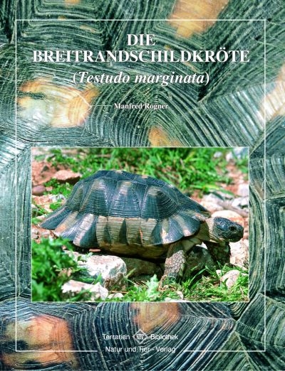 Die Breitrandschildkröte - Manfred Rogner