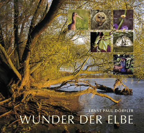 Wunder der Elbe - Ernst P Dörfler