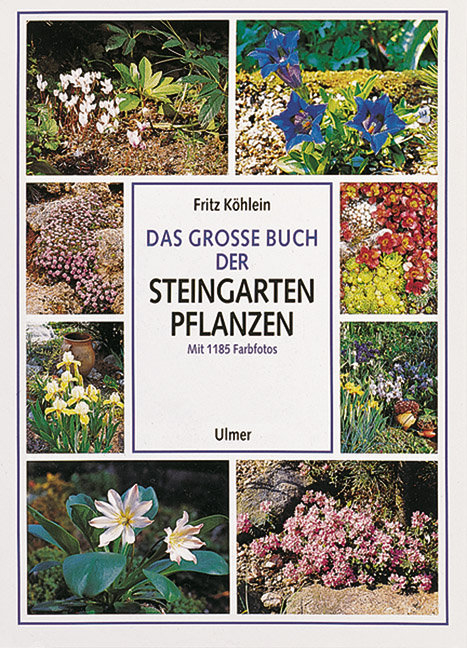 Das große Buch der Steingartenpflanzen - Fritz Köhlein