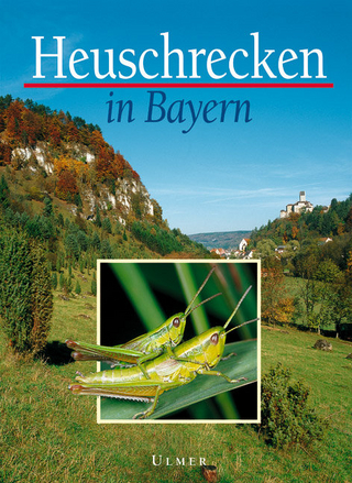 Heuschrecken in Bayern - Helmut Schlumprecht; Georg Waeber