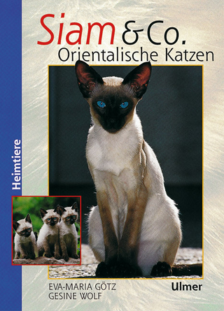 Siam & Co. Orientalische Katzen - Eva-Maria Götz; Gesine Wolf