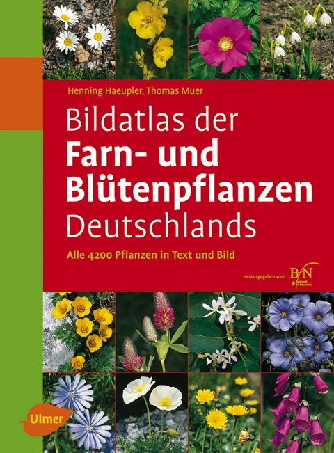 Bildatlas der Farn- und Blütenpflanzen Deutschlands - Henning Haeupler, Thomas Muer, Götz Heinrich Loos