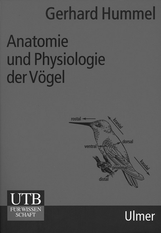 Anatomie und Physiologie der Vögel
