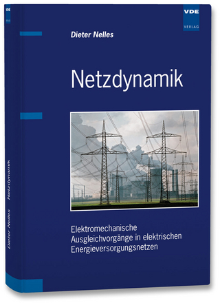 Netzdynamik - Dieter Nelles