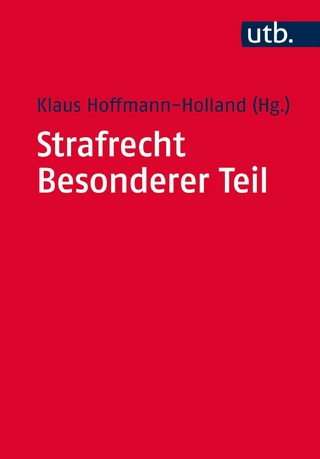 Strafrecht Besonderer Teil - Klaus Hoffmann-Holland