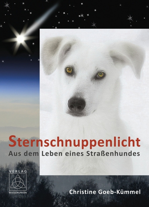 Sternschnuppenlicht -  Christine Goeb-Kümmel