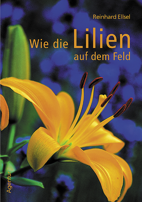 Wie die Lilien auf dem Felde - Reinhard Ellsel