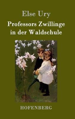 Professors Zwillinge in der Waldschule - Else Ury