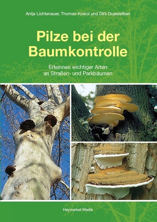Pilze bei der Baumkontrolle - Antje Lichtenauer; Thomas Kowol; Dirk Dujesiefken