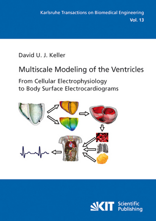 Multiscale Modeling of the Ventricles: From Cellular Electrophysiology to Body Surface Electrocardiograms - David Urs Josef Keller