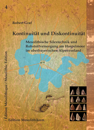 Kontinuität und Diskontinuität - Robert Graf; Werner Schön; Birgit Gehlen; Jehanne Affolter; Michael Peters