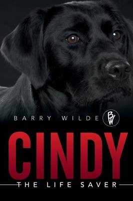 "Cindy - Barry Wilde