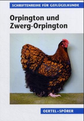 Orpington und Zwerg-Orpington