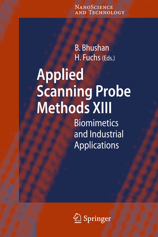 Applied Scanning Probe Methods XIII - Bharat Bhushan; Harald Fuchs