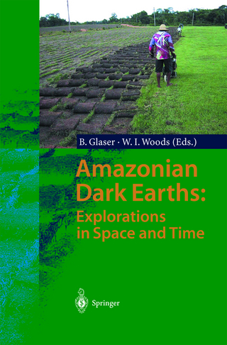 Amazonian Dark Earths: Explorations in Space and Time - Bruno Glaser; William I. Woods