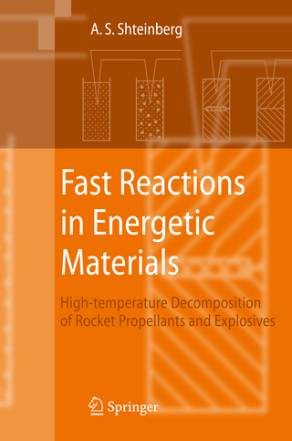 Fast Reactions in Energetic Materials - Alexander S. Shteinberg