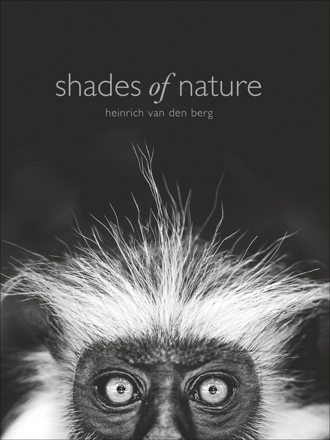 Shades of Nature - Heinrich van den Berg