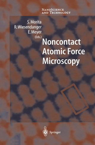 Noncontact Atomic Force Microscopy - S. Morita; Roland Wiesendanger; E. Meyer