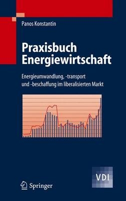Praxisbuch Energiewirtschaft - Panos Konstantin