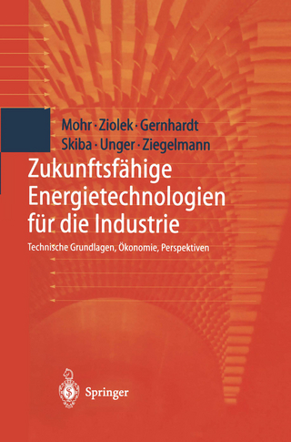 Zukunftsfähige Energietechnologien für die Industrie - Markus Mohr; Andreas Ziolek; Dirk Gernhardt; Martin Skiba; Hermann Unger; Arko Ziegelmann