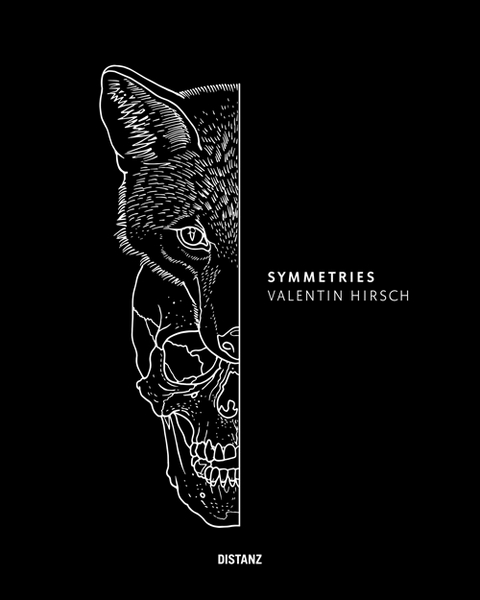 Symmetries - Valentin Hirsch