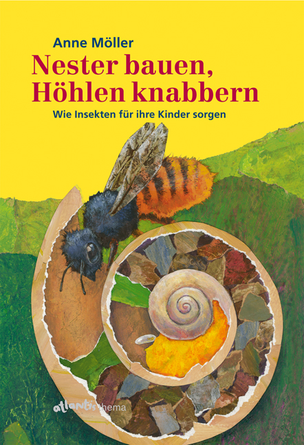 Nester bauen, Höhlen knabbern - Anne Möller