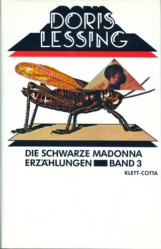 Erzählungen / Die schwarze Madonna (Erzählungen, Bd. 3) - Doris Lessing