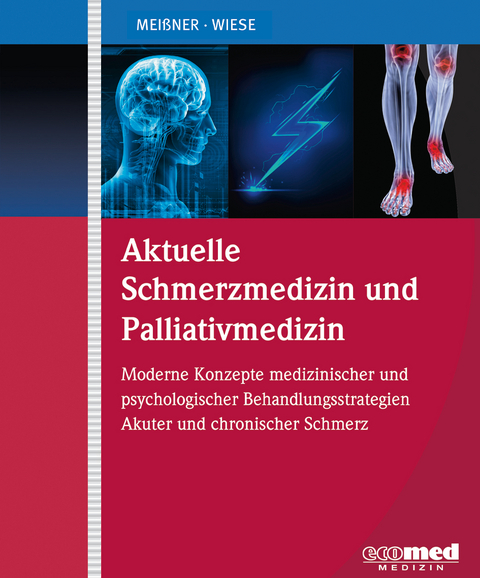 Aktuelle Schmerzmedizin und Palliativmedizin - Winfried Meißner, Christoph Wiese