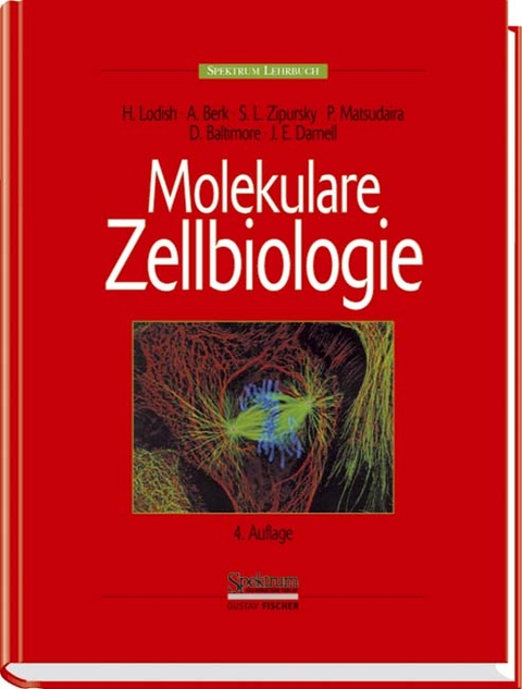 Molekulare Zellbiologie - Harvey Lodish, Arnold Berk, S Lawrence Zipursky, Paul Matsudaira, David Baltimore, James E Darnell
