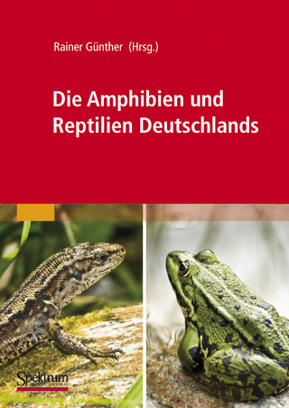 Die Amphibien und Reptilien Deutschlands - Rainer Günther