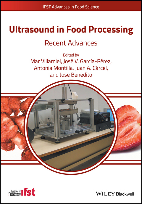 Ultrasound in Food Processing - 