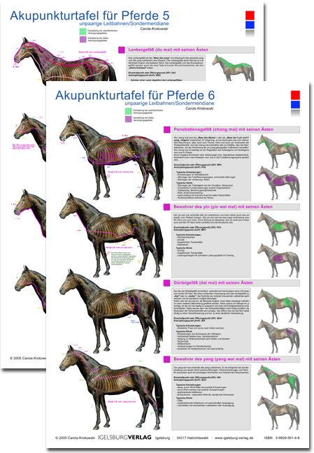 Akupunkturtafel für Pferde 5 + 6 - Carola Krokowski