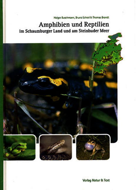 Amphibien und Reptilien im Schaumburger Land und am Steinhuder Meer - Holger Buschmann, Bruno Scheel, Thomas Brandt