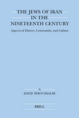 The Jews of Iran in the Nineteenth Century (paperback) - David Yeroushalmi