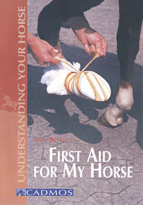 First Aid for My Horse - Anke Rüsbüldt