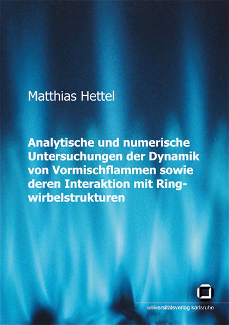 Analytische und numerische Untersuchungen der Dynamik von Vormischflammen sowie deren Interaktion mit Ringwirbelstrukturen - Matthias Hettel