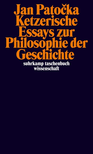 Ketzerische Essays zur Philosophie der Geschichte - Jan Pato?ka