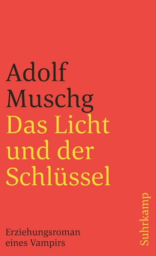 Das Licht und der Schlüssel - Adolf Muschg