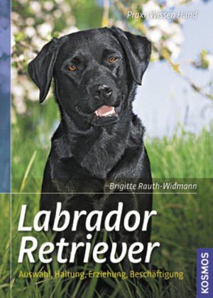 Labrador Retriever - Brigitte Rauth-Widmann