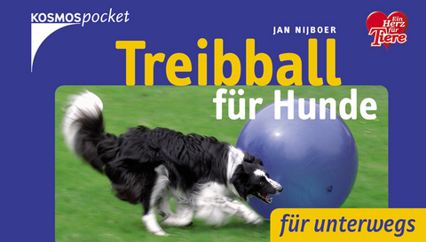 Treibball für Hunde - Jan Nijboer