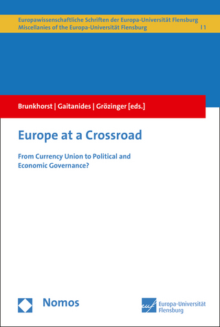 Europe at a Crossroad - Hauke Brunkhorst; Charlotte Gaitanides; Gerd Grözinger