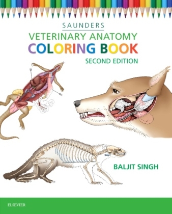 Veterinary Anatomy Coloring Book -  Saunders
