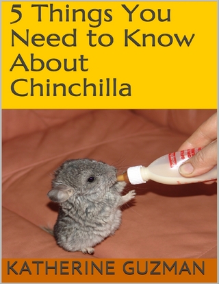 5 Things You Need to Know About Chinchilla - Guzman Katherine Guzman