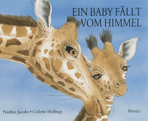Ein Baby fällt vom Himmel - Nadine Jacobs, Colette Hellings